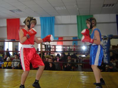Секция Бокса